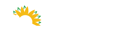 King Business Solutions & Tax Services